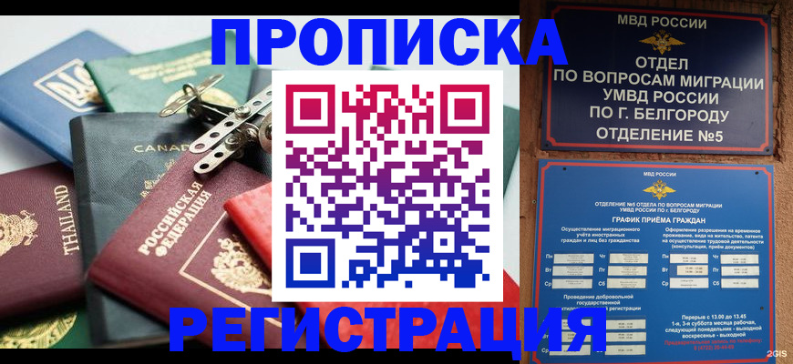 временная регистрация недорого в Калининградской области